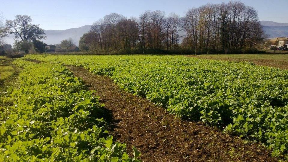 Agriturismo Tre Santi Villa Padula Eksteriør bilde